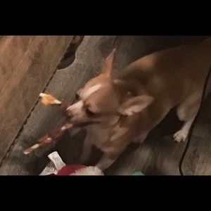 Meet your Posher, Deborah